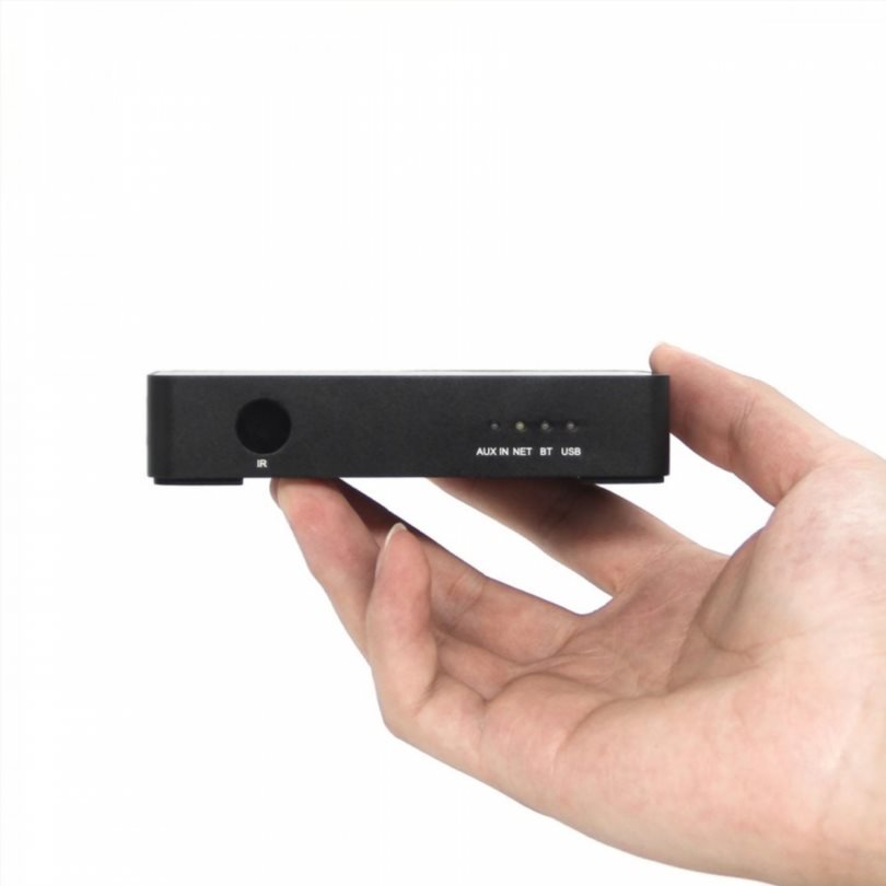 Arylic S10