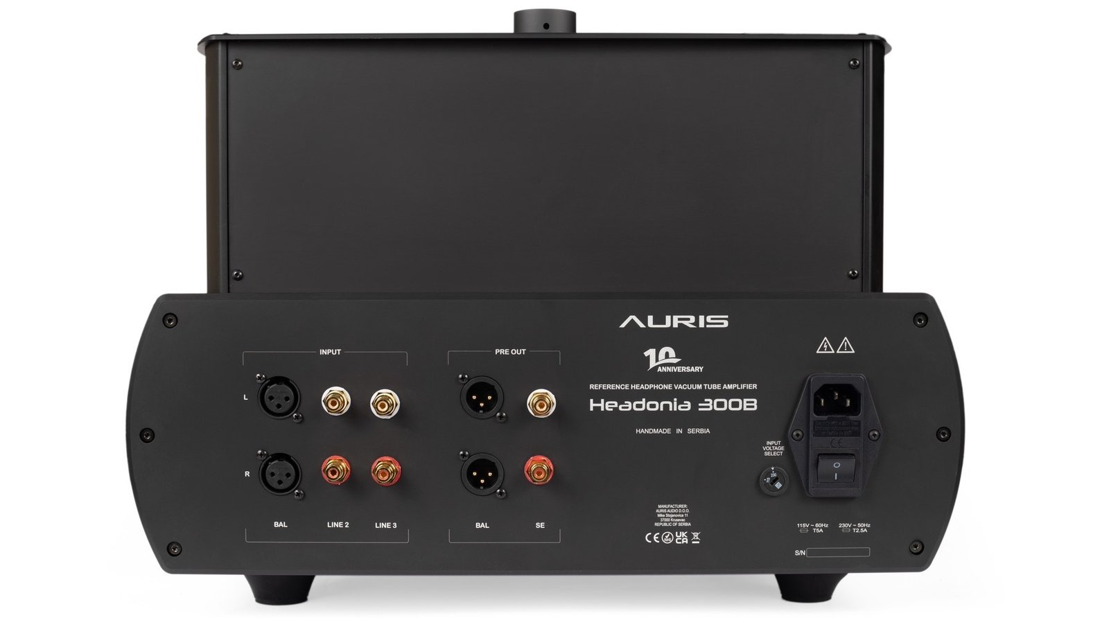 Auris Headonia 300B back panel