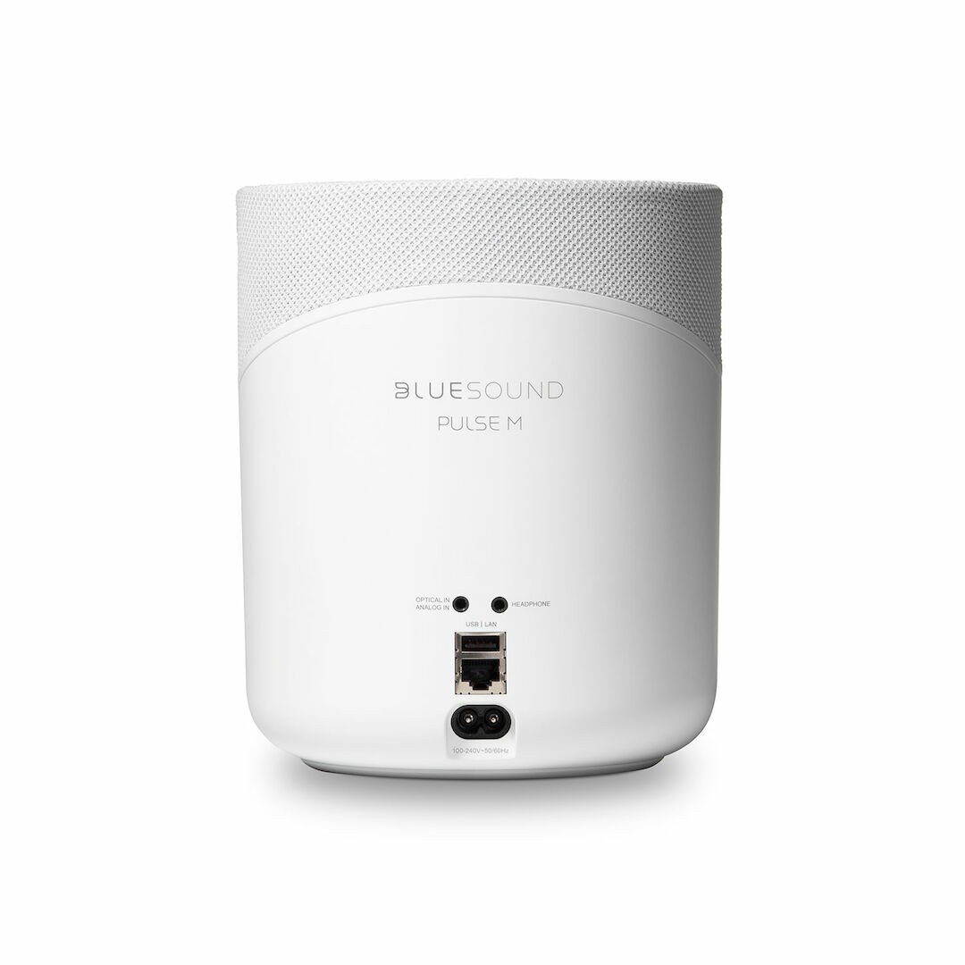 BLUESOUND PULSE M (P230)