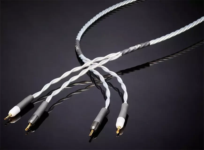 4. Ansuz Acoustics Speakz X2