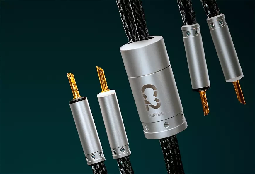 2. Ansuz Acoustics Speakz C2