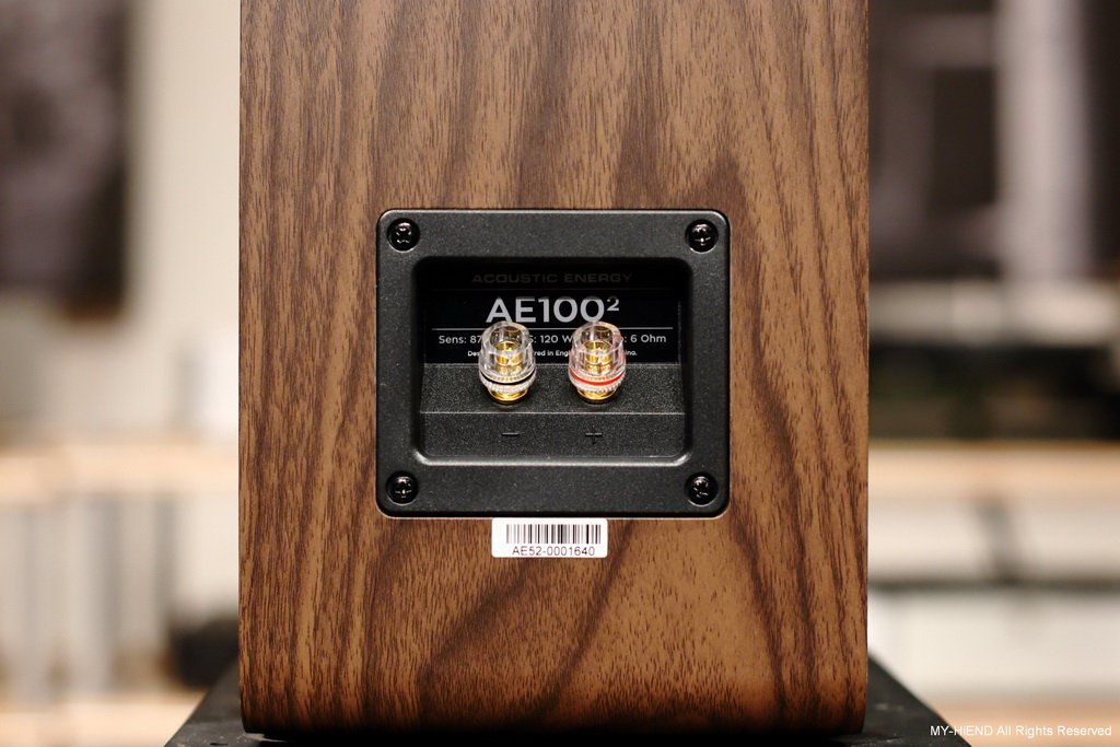 AE_100MK2_070.jpg