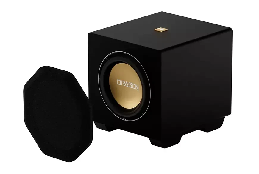 12" Nakamichi Dragon Active Subwoofer