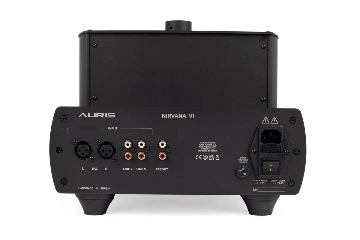 Auris Nirvana VI Inputs and outputs