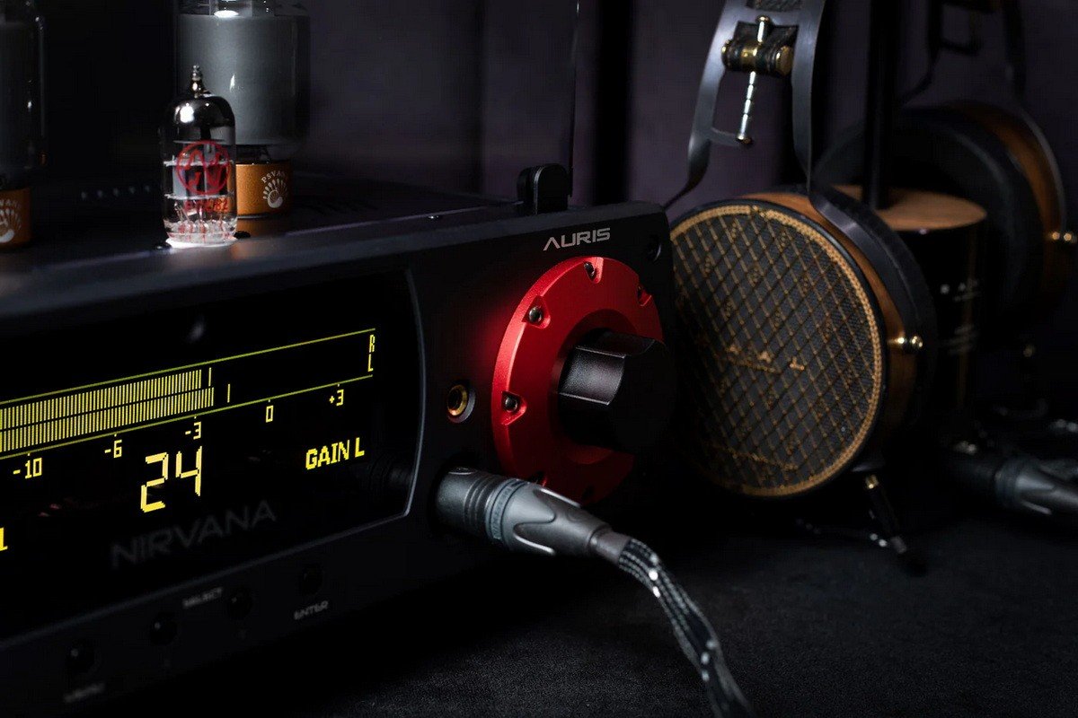 The new amplifier is a tube device, based on American 6CA7 power pentodes