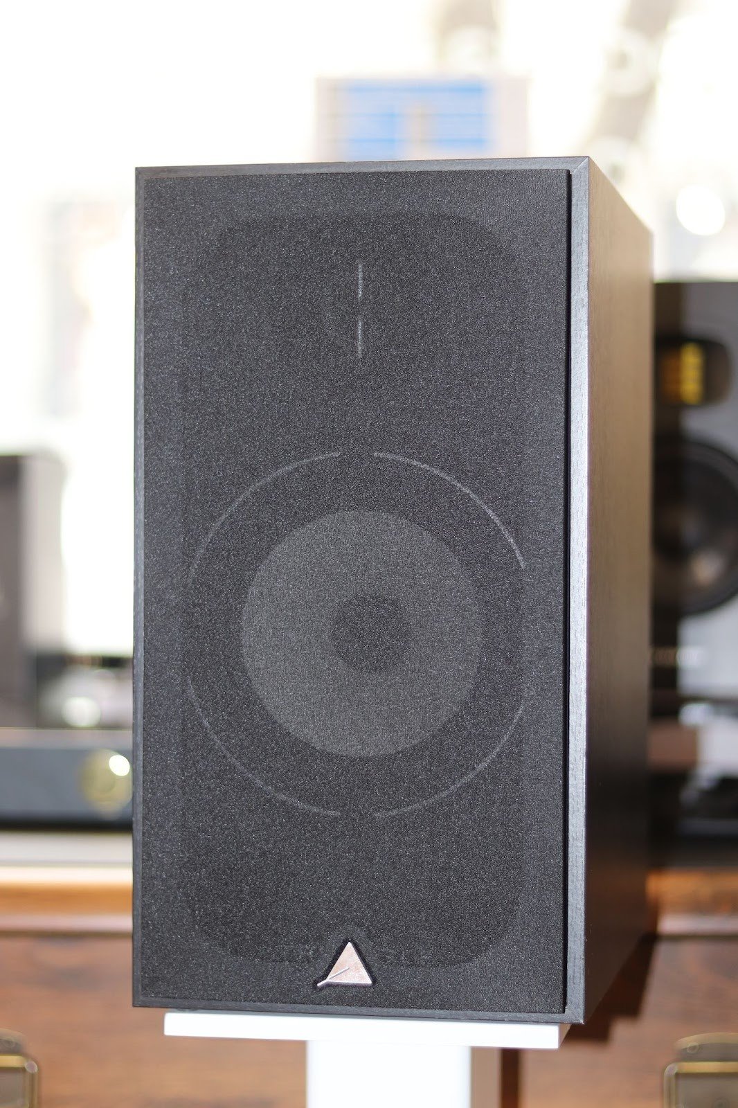 Triangle Borea BR03 have a bright sound, which is closer to a warm shade. The midrange, thanks to the paper diffuser, transmits vocal parts very well, but these speakers also handle fairly hard riffs by Metallica without any problems. 
