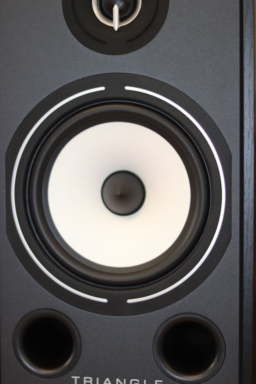 The tweeter is probably the most interesting thing in this speaker. At first glance, it is an ordinary 25 mm silk dome, and it really is. 