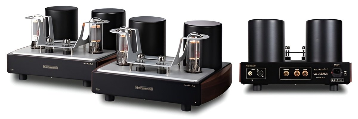 The output is approximately 50W, and the high output of a triode and its unique flavor are what makes the 845 the choice.